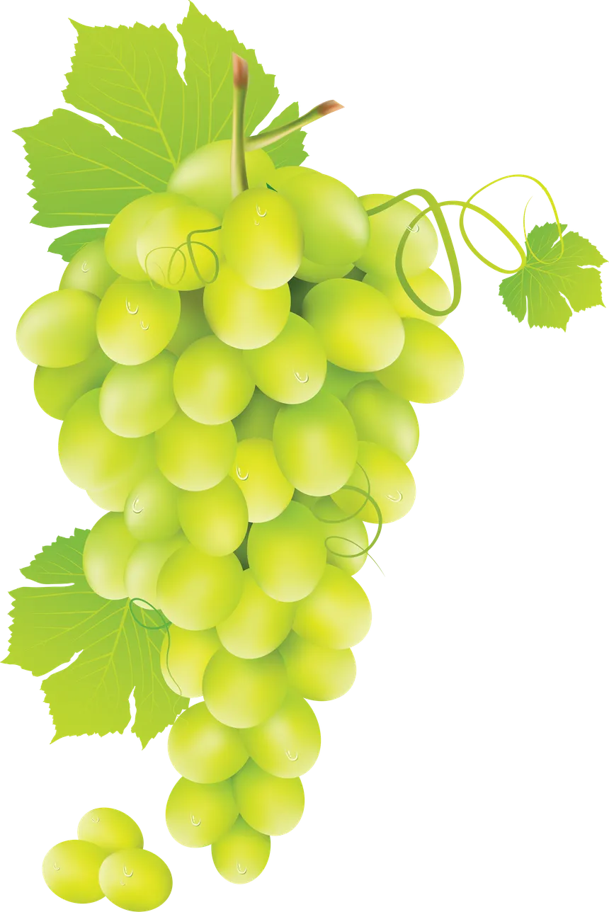 Grapes