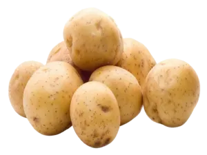 Potato