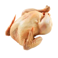 Fresh chicken