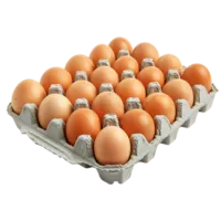 Eggs Tray