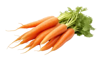 Carrots