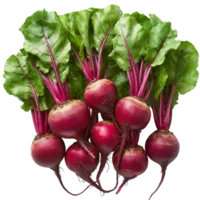 Beetroot